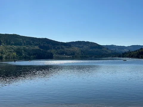Titisee — Nature — Black Forest North-to-South Road Trip — Germany