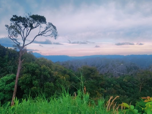 Limestone karst viewpoint