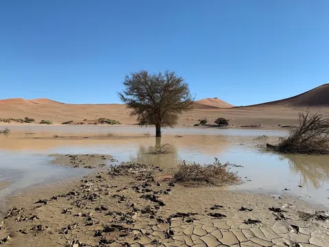 Sossusvlei — Nature — Namib Desert Circuit — Namibia