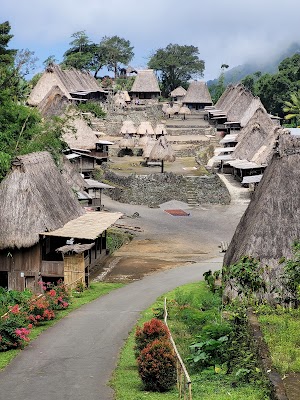 Bena Traditional Village