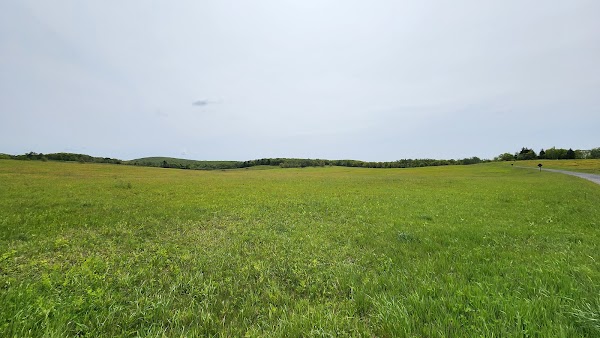 Big Meadows