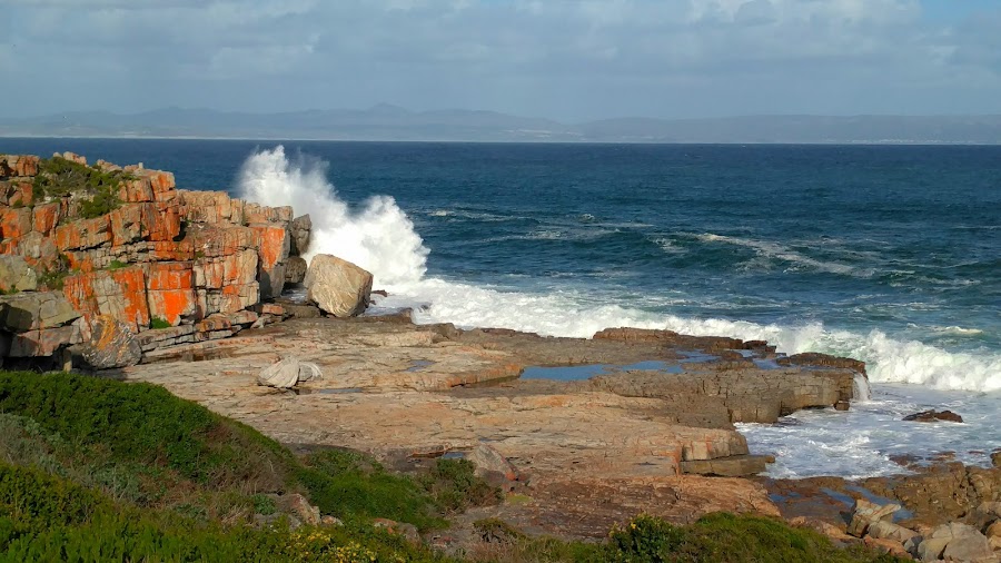 Hermanus Cliff Path Whale Watching — Whale Watching — Clarence Drive — South Africa
