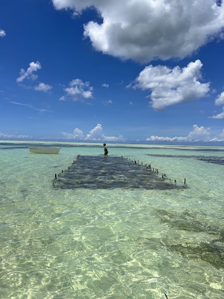 Paje Beach — Nature — Zanzibar Island Loop — Tanzania