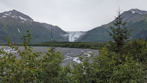 Exit Glacier Trail