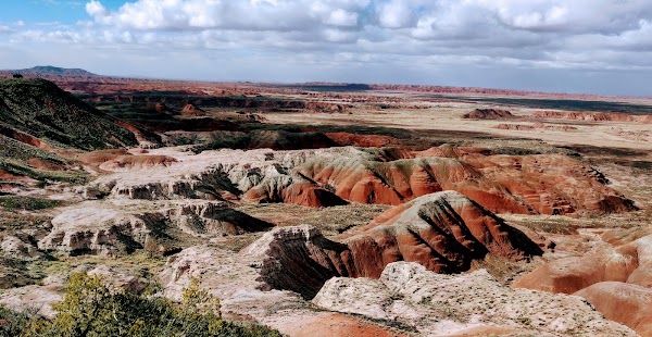 Petrified Forest
