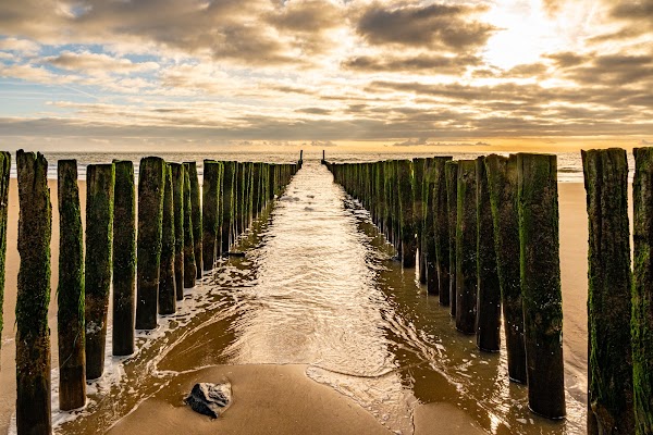 Zoutelande Beach