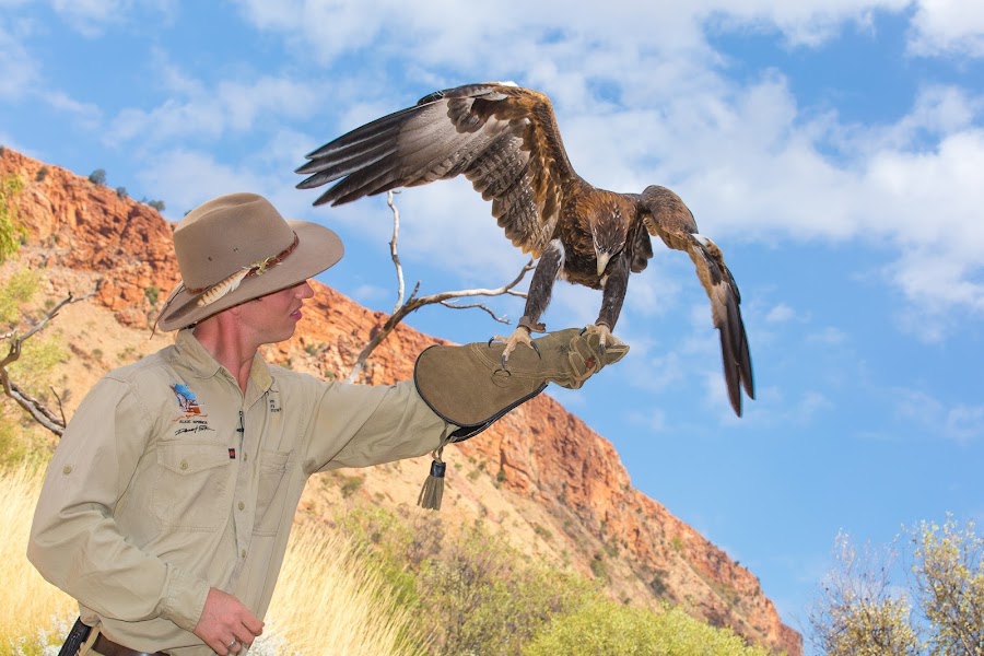 Alice Springs Desert Park — Desert wildlife and culture — Stuart Highway — Australia