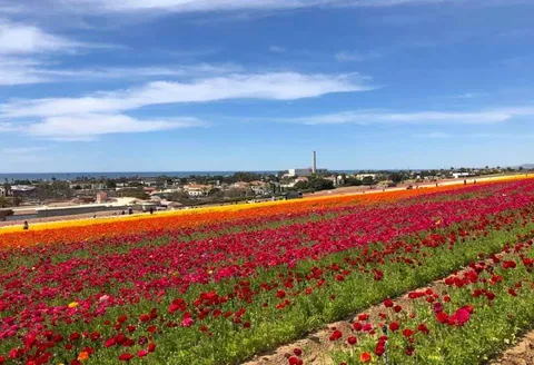 Furano — Arrival — Hokkaido Flower Route — Japan
