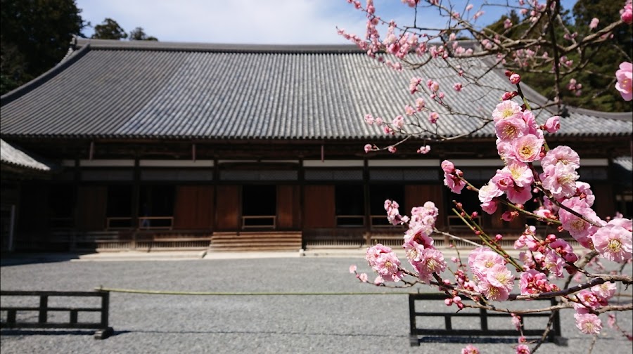 Zuiganji Temple — Temple garden — Sanriku-Akita Custom Tohoku Sampler — Japan