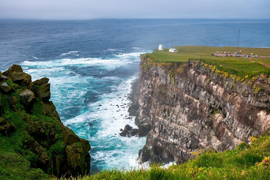 Látrabjarg Puffin Cliffs — Birdwatching — Westfjords Ring Road — Iceland