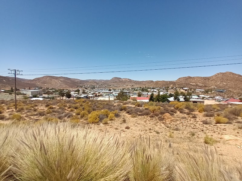 Springbok
