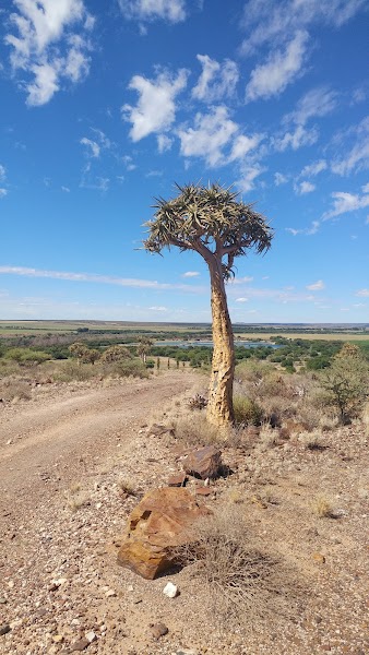 Garies Koppie Flower Walk — Nature — Namaqualand Flower Route — South Africa