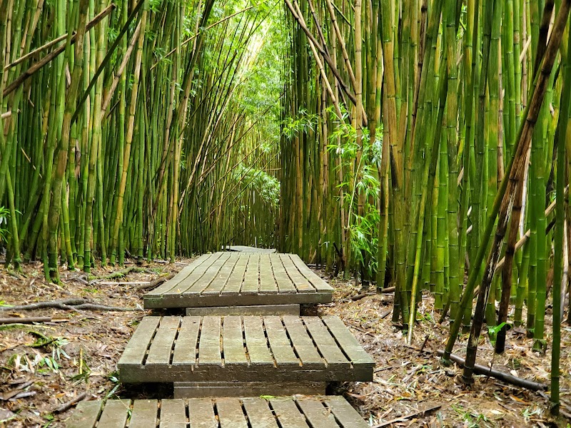 Pipiwai Trail to Waimoku Falls — Hiking Trail — Road to Hāna — United States