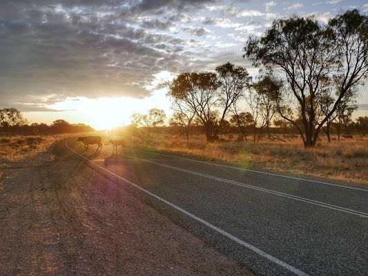 Alice Springs