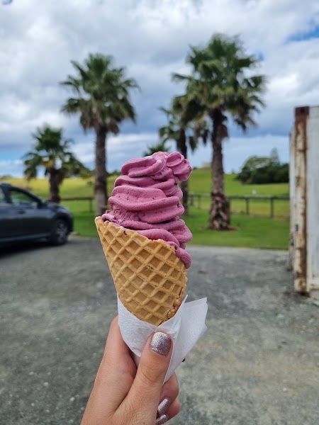 Houhora Honey Bees Cafe — Cafe and Northland pies — Northland Pacific Coast Highway — New Zealand