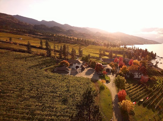 St. Hubertus Estate Winery