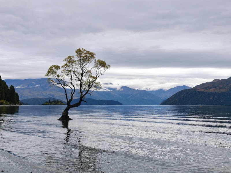Lake Wanaka foreshore — Lake walk — Central Otago Wine Trail — New Zealand