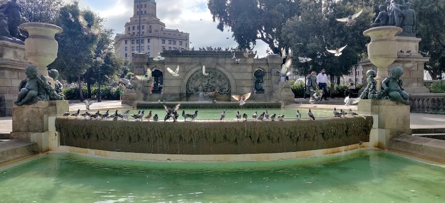 Barcelona historic centre — City walk — Mediterranean Meander — Spain
