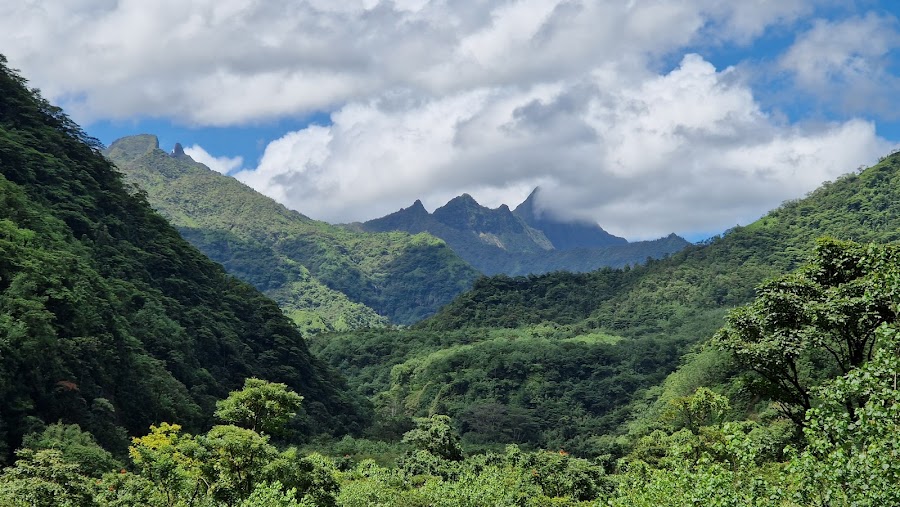 Papenoo Valley — Nature — Tahiti Island Circle Road — French Polynesia