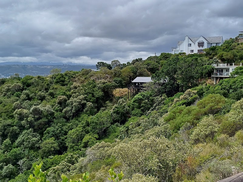 Featherbed Nature Reserve — Nature — Cape Town & Garden Route — South Africa