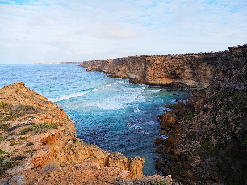 Head of Bight — Nature — Nullarbor Plain and Eyre Highway — Australia