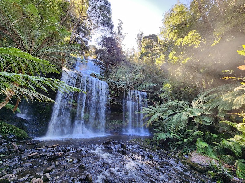 Russell Falls and Tall Trees loop — Rainforest walk — Hobart to Cradle Mountain — Australia