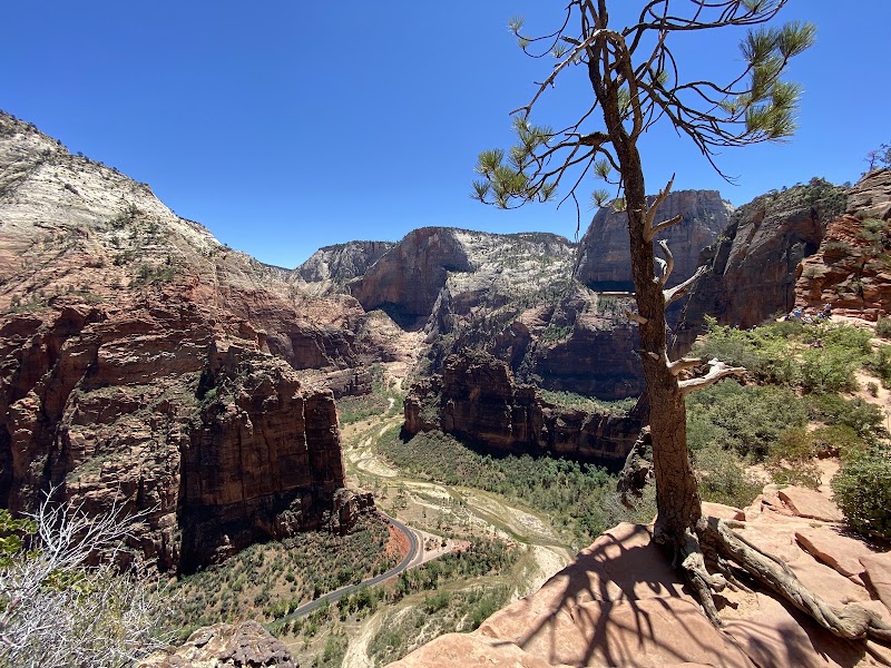 Angels Landing or Scout Lookout — Hike — Southern Utah Parks Traverse — United States