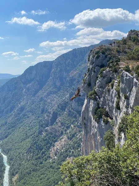 Route des Crêtes — Nature — Gorges du Verdon — France