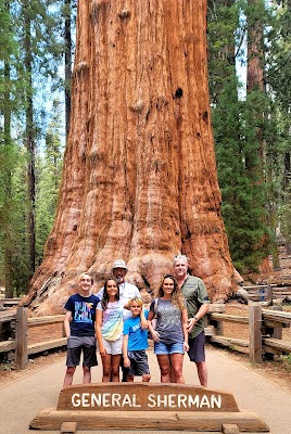 General Sherman Tree