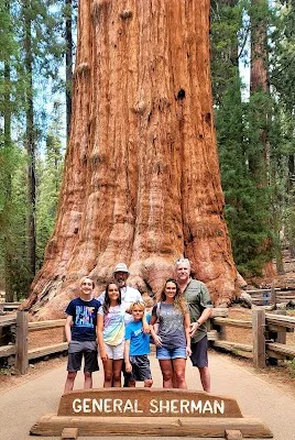 General Sherman Tree — Landmark — Yosemite to Sequoia and Kings Canyon — United States