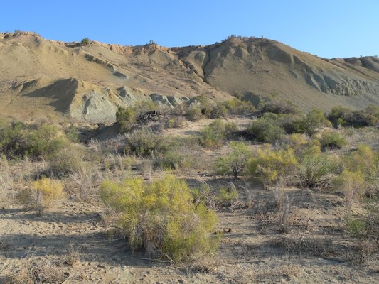 Barsa-Kelmes Area