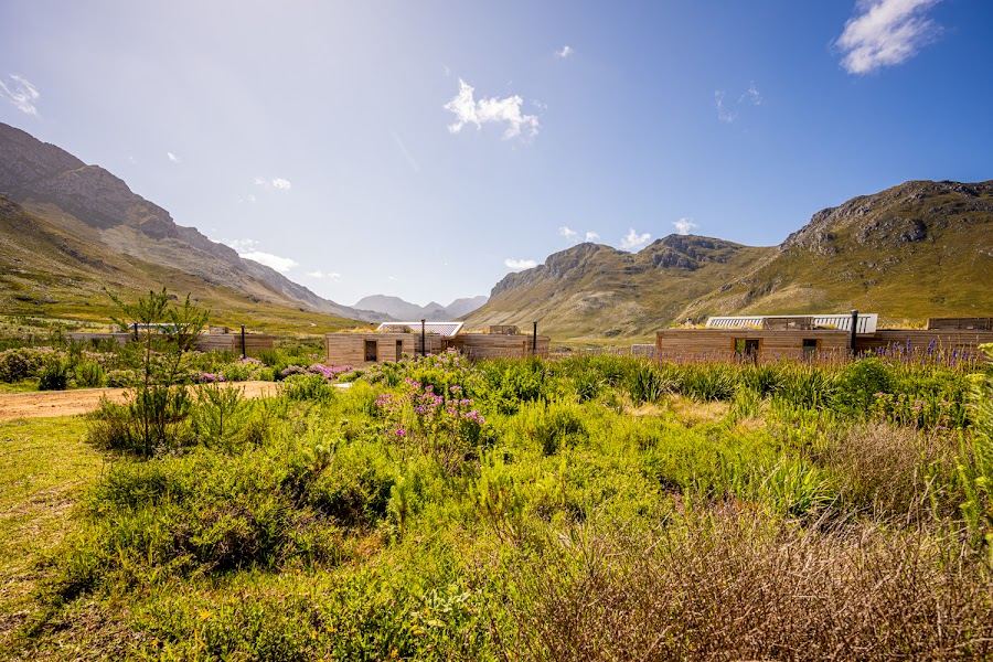 Kogelberg Nature Reserve