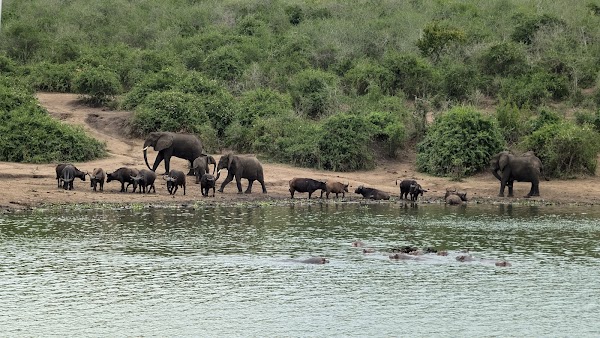 Kazinga Channel Boat Safari