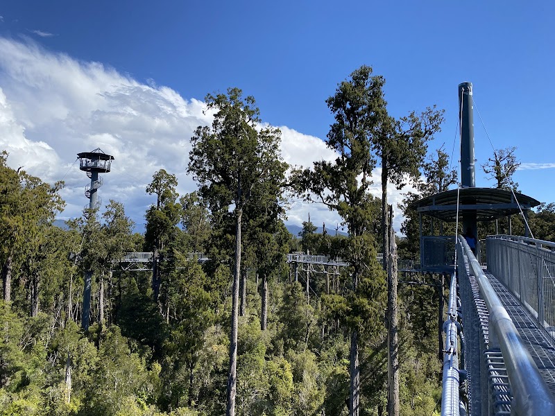 West Coast Treetop Walk & Café