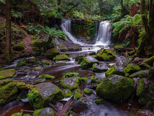Horseshoe Falls