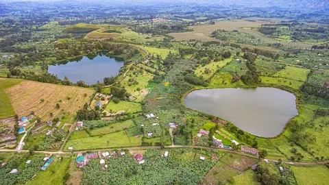 Fort Portal — Departure — Uganda Fort Portal to Bwindi — Uganda