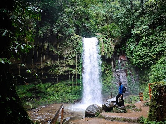 Mahua Waterfall