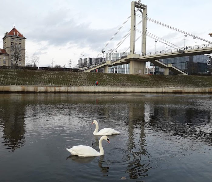 Kaunas — City — Baltic Capitals and Coast — Estonia