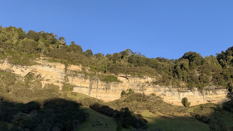 Tangarakau Gorge — Nature — Forgotten World Highway — New Zealand