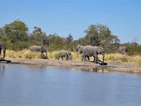 Mudumu National Park — Nature — Caprivi Strip and Zambezi Region — Namibia