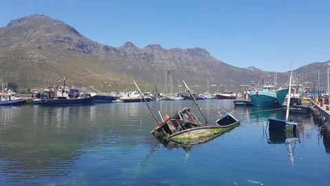 Hout Bay Harbour — Departure — Chapman's Peak Drive — South Africa