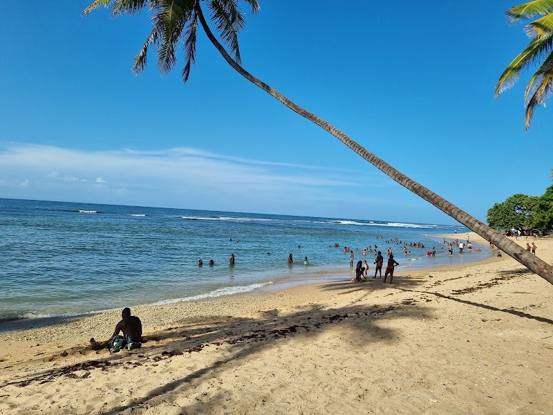 Toco Main Road Viewpoint — Landmark — Trinidad North Coast Road — Trinidad and Tobago