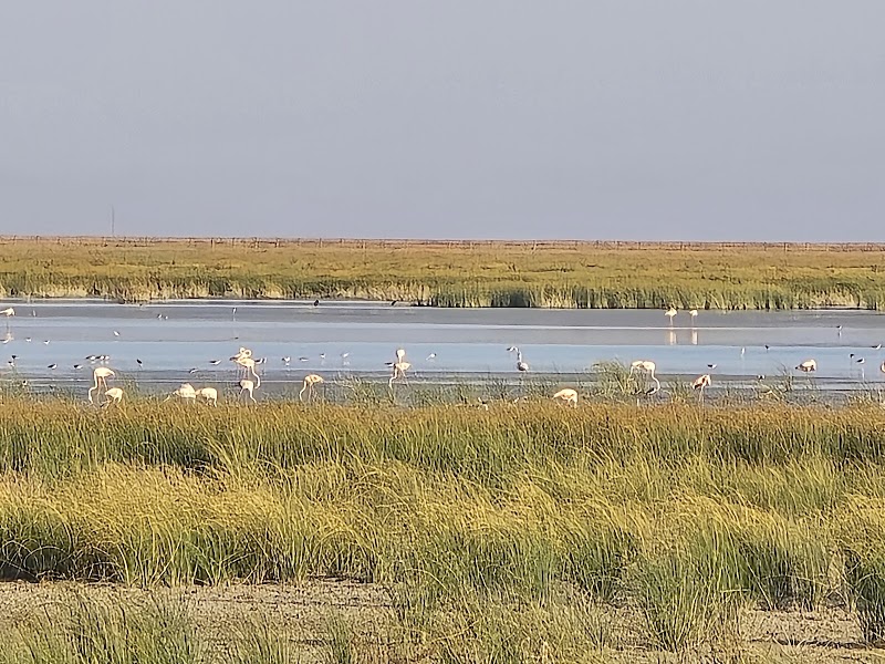 Doñana National Park