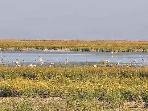 Doñana National Park — Nature — The Great Outdoors, Spain — Spain