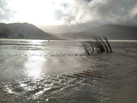 Anaura Bay Scenic Stop