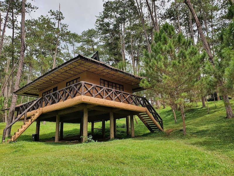 Kaamulan Park — park — Нагорья Минданао из Давао в Букиднон — Филиппины