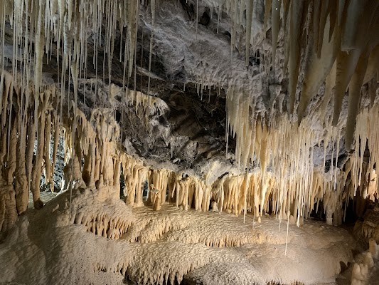 Mole Creek Caves