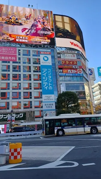 Tokyo — Departure — Japan's Shortened Golden Route by Car — Japan