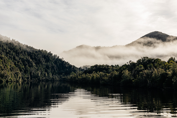 Gordon River Cruise