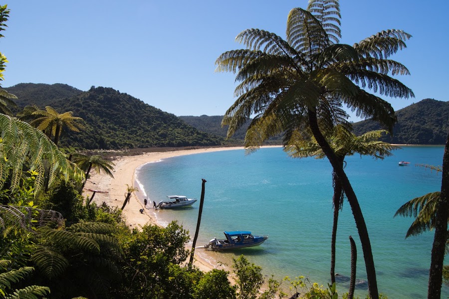 Abel Tasman Anchorage to Marahau sampler — Booked coast walk and water taxi — Nelson & Marlborough Explorer — New Zealand
